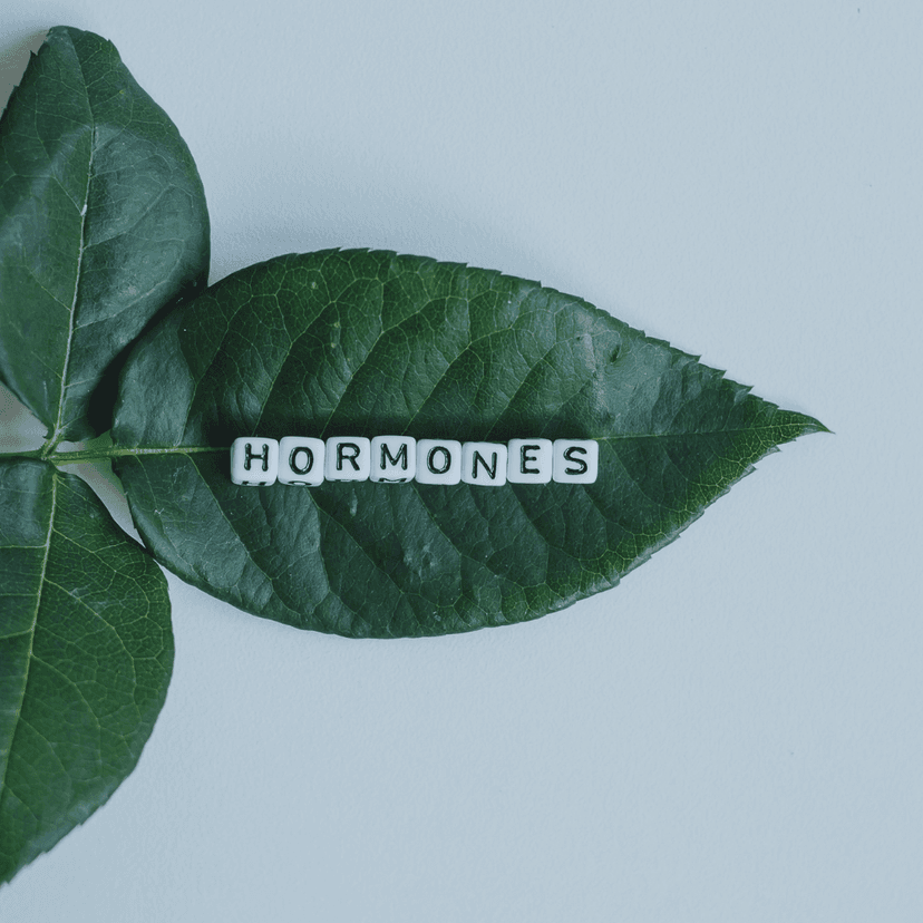 What to Expect When Starting Hormone Therapy for the First Time